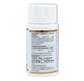 Equisalud Holovit Pureway-c 50 cápsulas_pharmamherbal