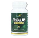 Tribulus 90 comp 575 mg Plantapol