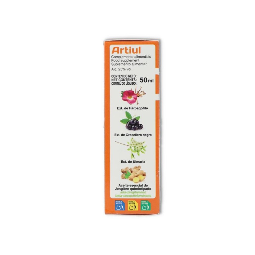 Artiul Aceite Esencial Jengibre 50 ml Novadiet