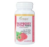 Plantapol Raspberry Ketone Forte 60 cápsulas