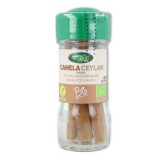 Canela Rama Eco 15 gr Artemis