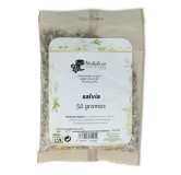 Planta Salvia 50 gr Pinisan
