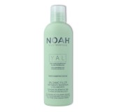 Noah Yal Acondicionador con Ácido Hialuronico 250 ml