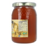 Ynsadiet Hijas del Sol Miel Multiflora 500 gr