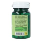 Ynsadiet Fitosol Cola de Caballo 60 cap