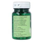 Ynsadiet Fitosol Pasiflora 60 cap