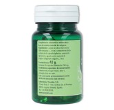 Ynsadiet Fitosol Oregano 60 perlas