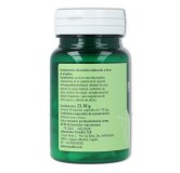 Ynsadiet Fitosol Propoleo 30 cap