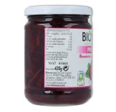 Bionsan Remolacha Lactofermentada Probiotic 420 gr