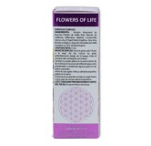 Flowers of life proteccion 15 ml Equisalud