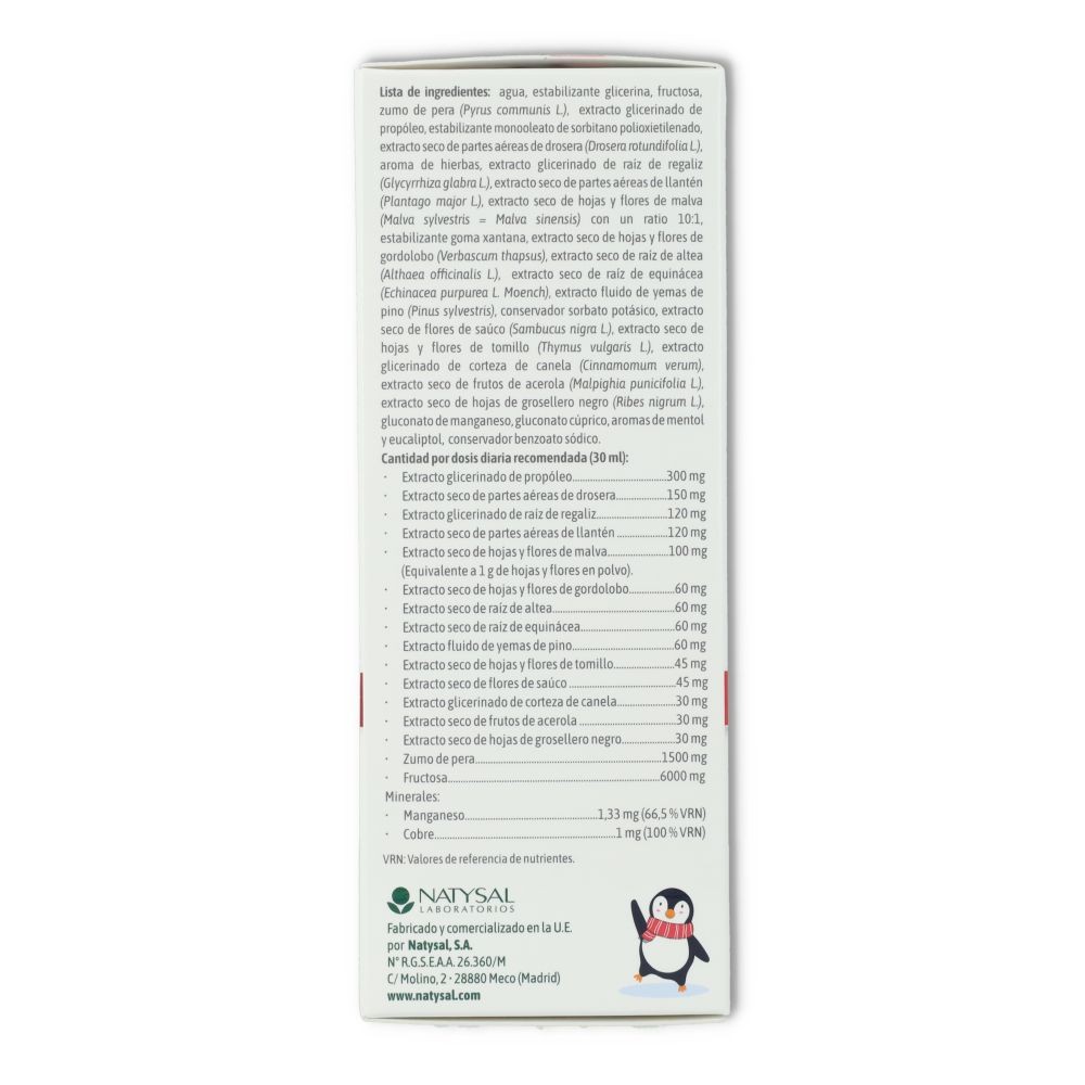 Protecsapin Jarabe 250 ml Natysal