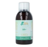 Herbolario Virgen del Carmen Jarabe BR+ 250 ml