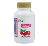 Arandano Rojo 650 mg 90 cap Sotya