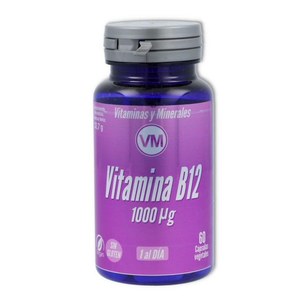 Vitamina B12 1000  60 cap Ynsadiet