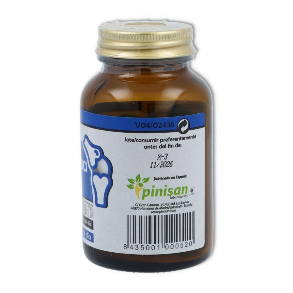 Cartilsamina 40 cap Pinisan