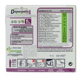 Depurpatic 20 viales Pinisan