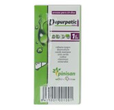 Depurpatic 20 viales Pinisan