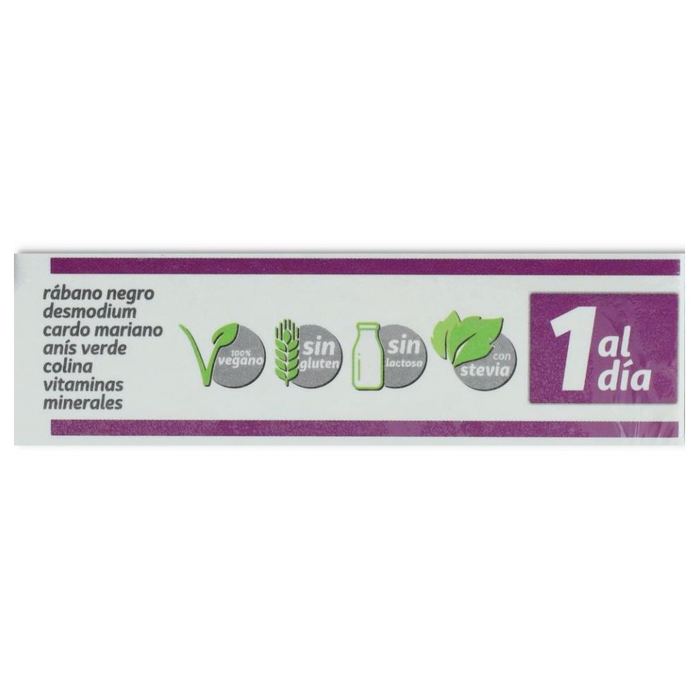 Depurpatic 20 viales Pinisan