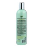 Champu Anticaspa Sensible 400 ml Natura Siberica