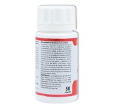 Holomega Hericium 50 cap Equisalud