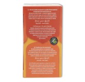 TE JENGIBRE NARANJA Y VANILLA 17 filtr Yogi