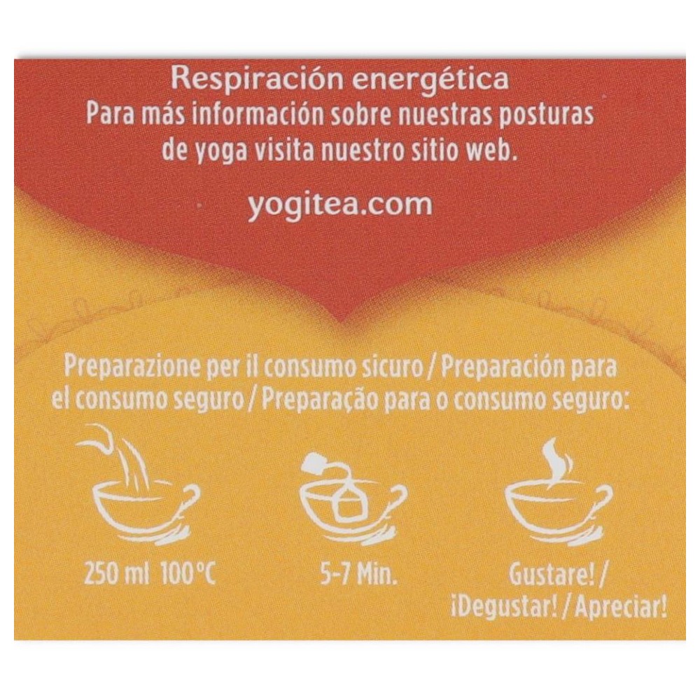 TE JENGIBRE NARANJA Y VANILLA 17 filtr Yogi