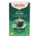 TE VERDE ENERGIA eco 17 filtros Yogi