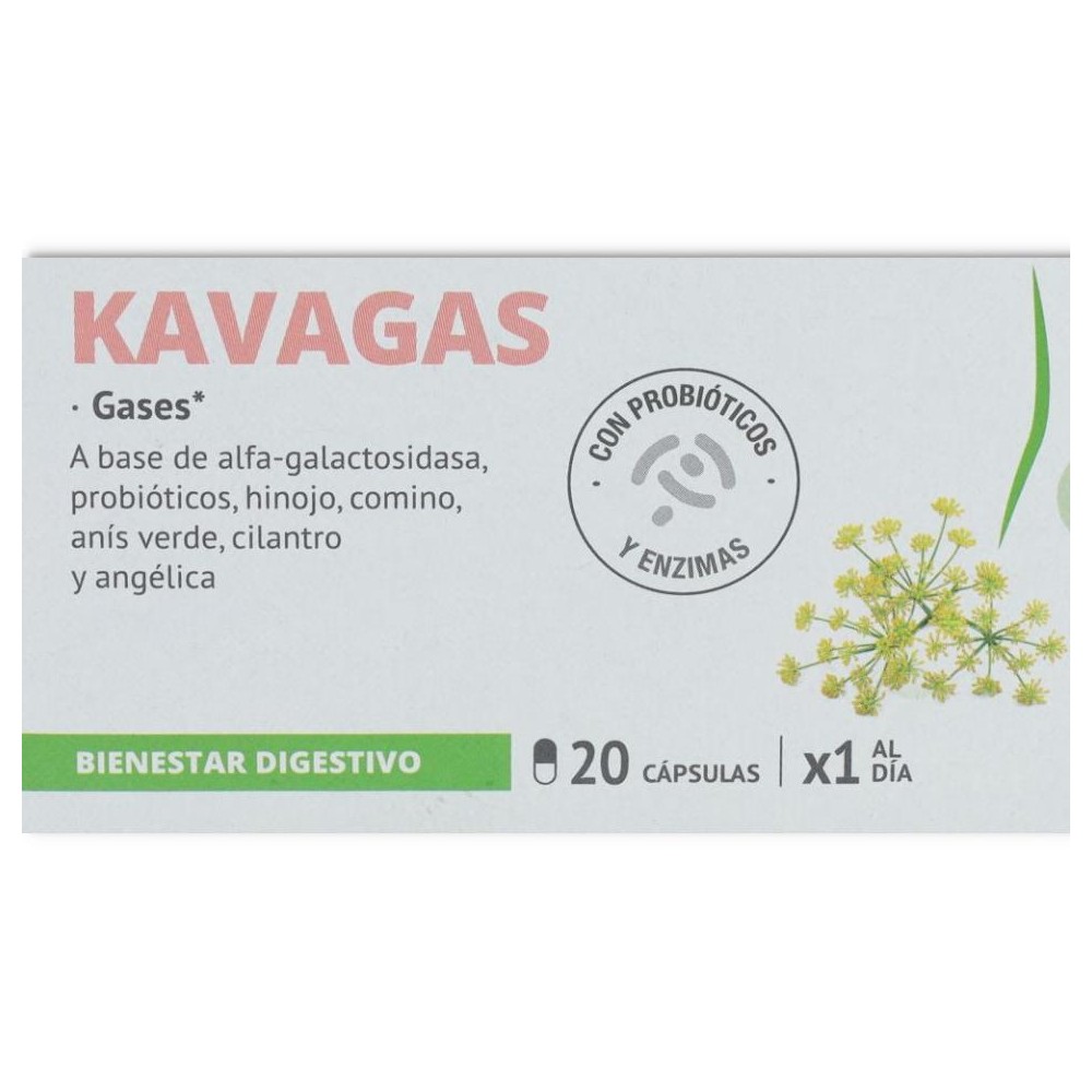 Kavagas 20 capsulas Santiveri