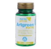 Artgreen Forte 90 comp Phytogreen