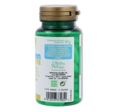 Artgreen Forte 90 comp Phytogreen