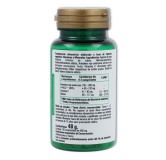 Arandano Rojo 120 comp Phytogreen