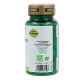 Arandano Rojo 120 comp Phytogreen