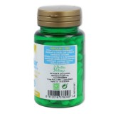 Capilar 60 cap Phytogreen