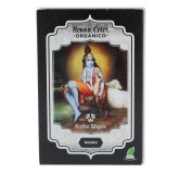 HENNA NEGRA POLVO 100 gr RADHE SHYAM