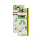 Pinisan pack 2 Botes Pinosan Jarabe 250 ml 1 Ud 