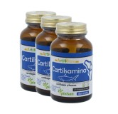 Pinisan Pack 3 Botes Cartilsamina 40 cap 