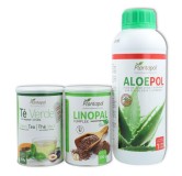 PLANTAPOL PACK CHUPA PANZAS CON TE VERDE 1 Ud