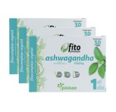 Pinisan Pack 3 Cajas Ashwagandha 30 cap 