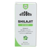 Shilajit 60 cap Vitobest