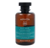 Apivita Champu Graso 250 ml