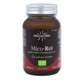 Mico-Rei 641 mg 70 cap Hifas da Terra 