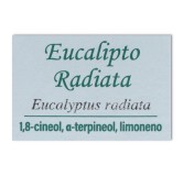 Aceite Esencial Eucalipto Radiata 10 ml Marnys