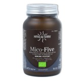 Hifas da Terra Mico-Five 70 cápsulas