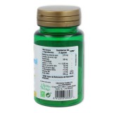 Phytogreen Colesterol 30 cápsulas