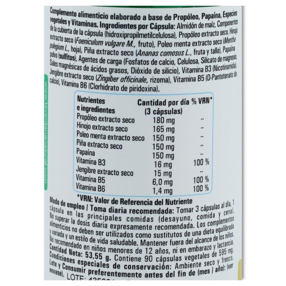 Phytogreen Gastrogreen 90 cápsulas