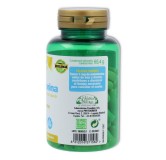 Phytogreen Melatonina 120 cápsulas