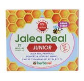 Jalea Real Junior 21 ampollas Herbasol