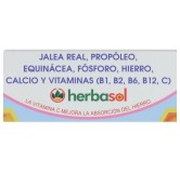Jalea Real Junior 21 ampollas Herbasol