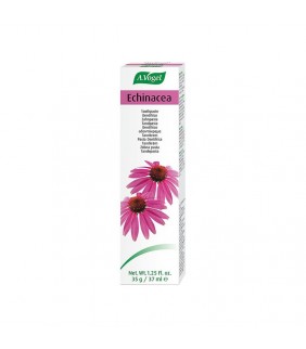 A. Vogel Dentaforce Echinacea pasta dental 100 gramos A. Vogel - 1