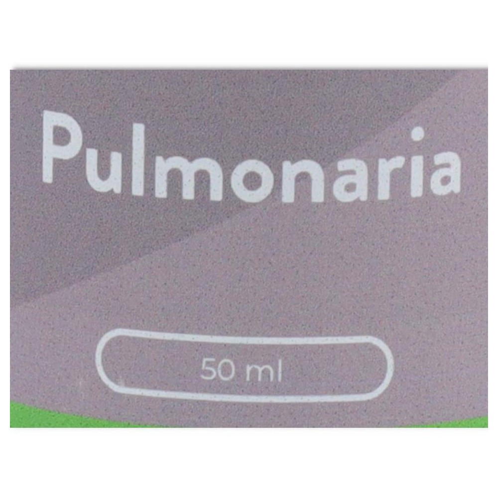 V C  Extracto Pulmonaria 50 ml